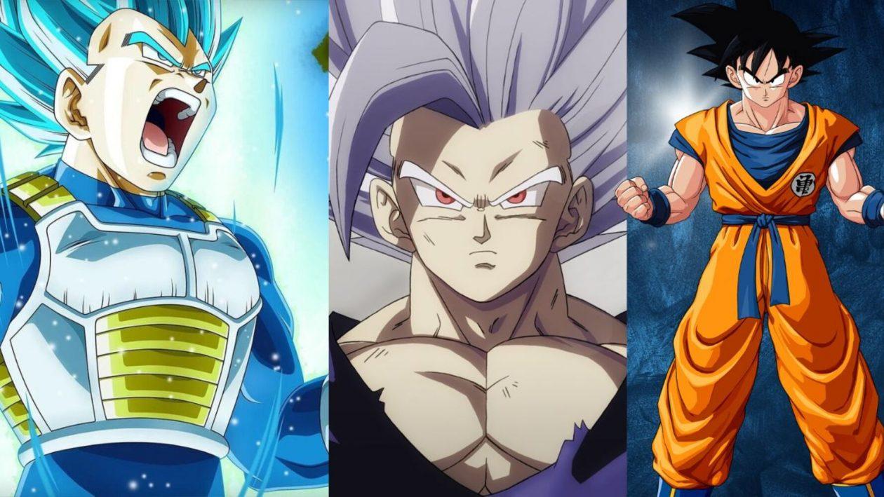 Quelle est la force de Final Gohan par rapport à Goku et Vegeta ?