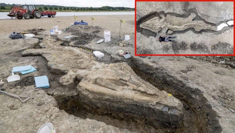 Huge 180-million-year-old ‘sea dragon’ fossil found in UK