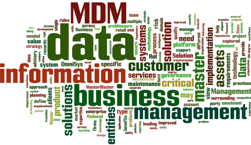 Master’s Data Management Cloud software